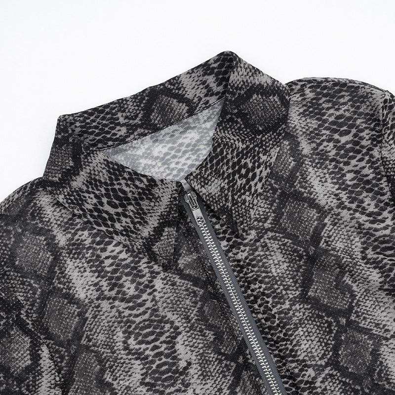 MB10109 Snake Print Mesh 2-Piece Set - Long Sleeve Top & Flared Pants